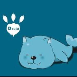 Druid