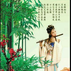 勿忘我