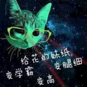 wt