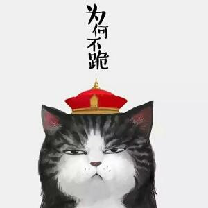 刹那芳华