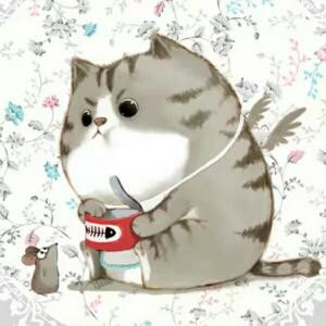 披着海带的冬瓜