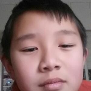 金龙皇子