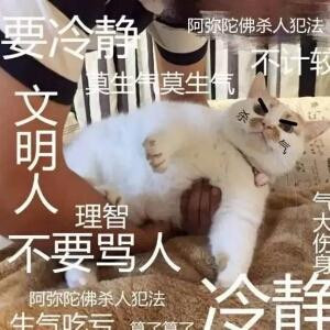 圆圆