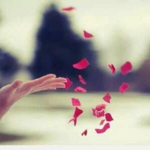 c调的优雅的c调