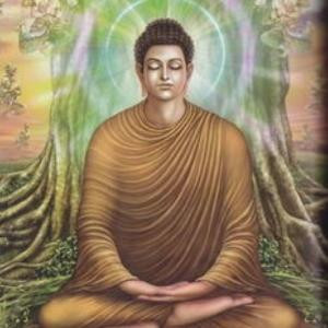 大主宰