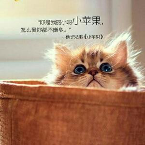 阎魔瞳
