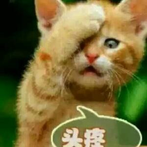 小妮子