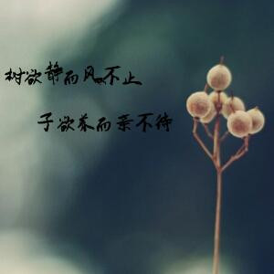 风中孤影