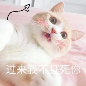 坤灵奶奶