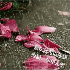 雨夜微凉