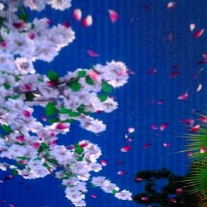 九色莲花