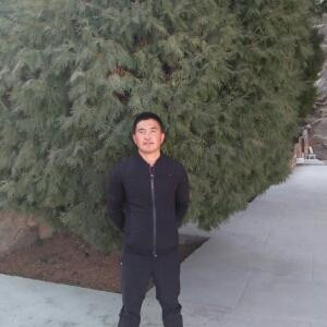 杨晓龙