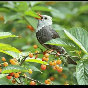 怕孤独的咖啡 ☕?