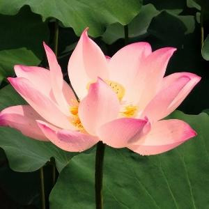 与书的时光