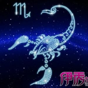 ?可爱的狗狗?