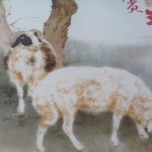 丫头