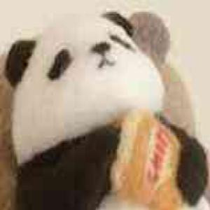 狗鼠宝