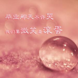 苏公子