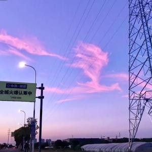 Dawn