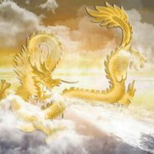 龙柒柒