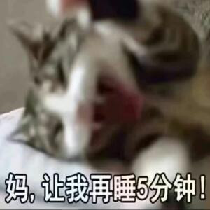 旎
