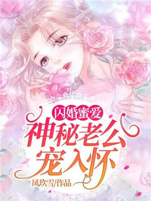 闪婚蜜爱:神秘老公宠入怀