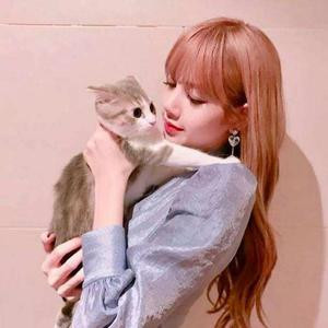 Lisa