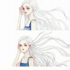 黑色的枫叶