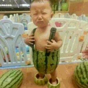 两只小蜜蜂