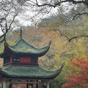 岁月静好
