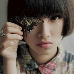 雾里观花儿