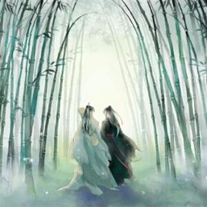 我嫂子是魏无羡