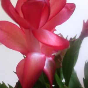 太阳升起的地方