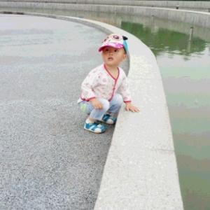 鲨鱼的眼泪