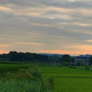 吃饭睡觉打豆豆
