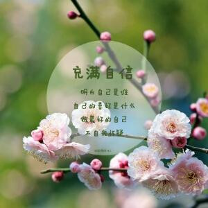 芦苇微微