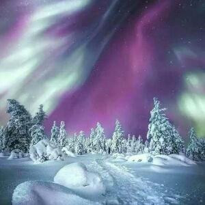 暮雪