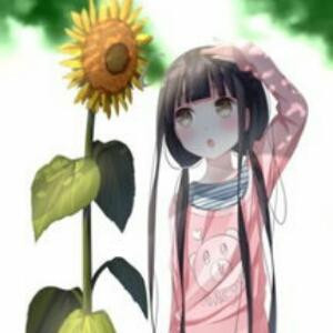 向日葵的约定