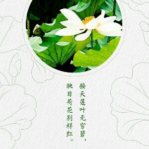 书迷