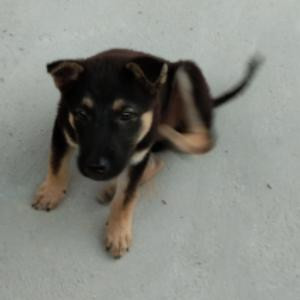 沈林潇和沈宁潇