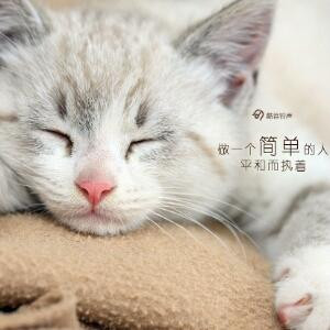 小宝贝