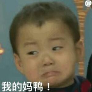 琳