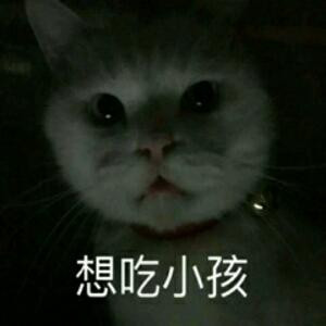 桥敛之