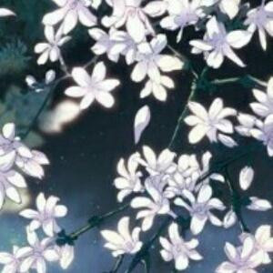繁星