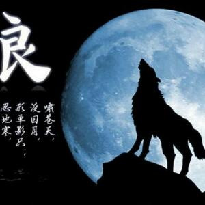 狼要回头
