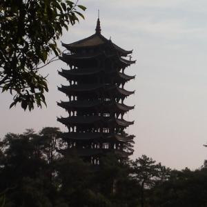 奔跑
