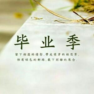 倩大大