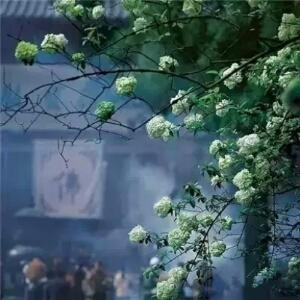 三月烟雨