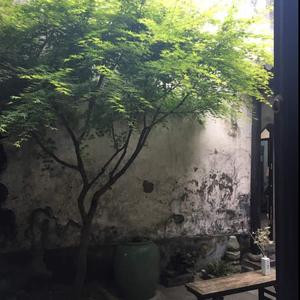 重新启程_