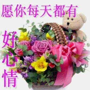 杨飞